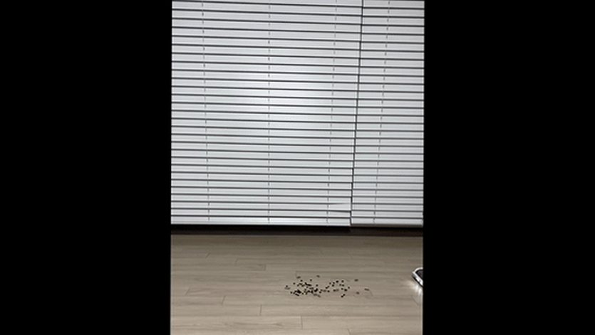 아이룸 무선청소기 차이슨 OG20 진공청소기